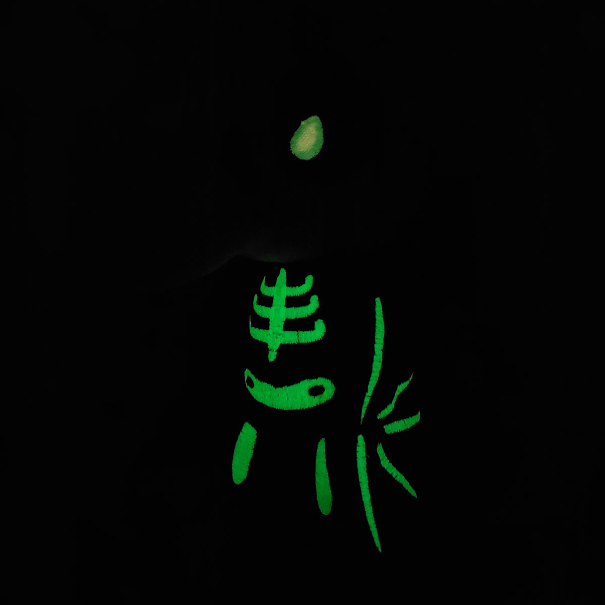 Oiseau Squelette phosphorescent
